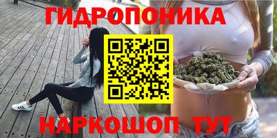 ECSTASY Будённовск