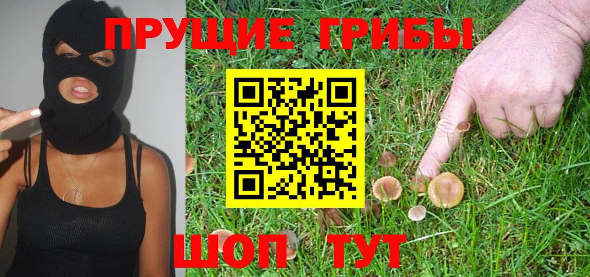 Галлюциногенные грибы ЛСД  Псилоцибиновые грибы Cubensis  Вход с VPN  Тосно 